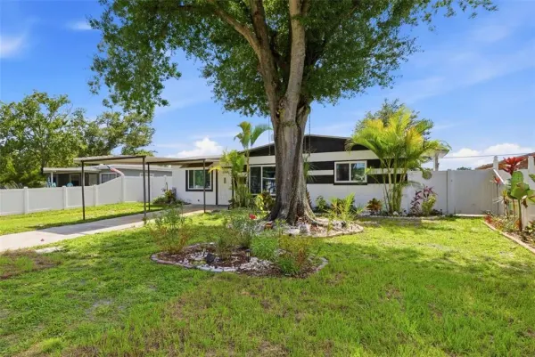 6206 N Hale Avenue, Tampa, FL, 33614