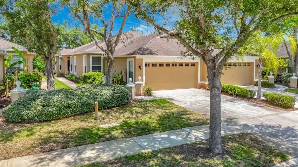 19180 Lake Audubon Drive, Tampa, FL, 33647