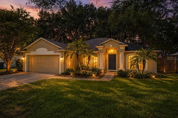 16208 Swenson Terrace, Lutz, FL, 33549