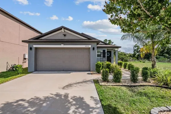 10331 Blue Plume Court, Riverview, FL, 33578