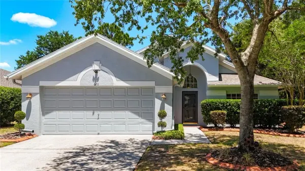 6711 Somerset Garden Way, Apollo Beach, FL, 33572