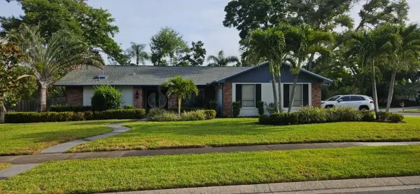 1469 Treetop Dr, Palm Harbor, FL, 34683