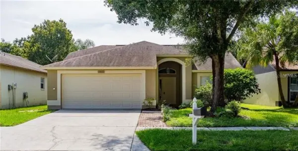 10831 Peppersong Drive, Riverview, FL, 33578