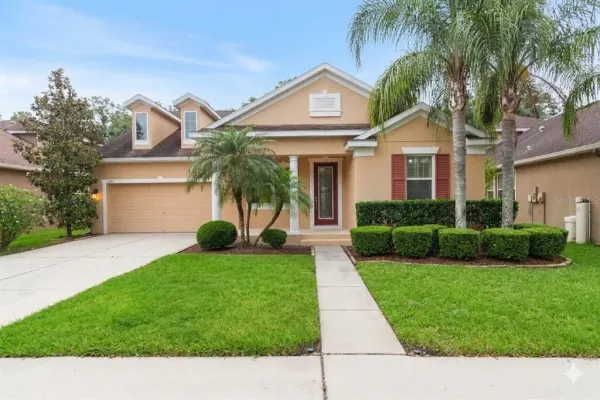 6936 Rocky Canyon Way, Tampa, FL, 33625