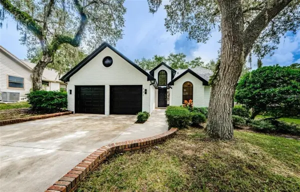 331 Cascade Lane, Palm Harbor, FL, 34684