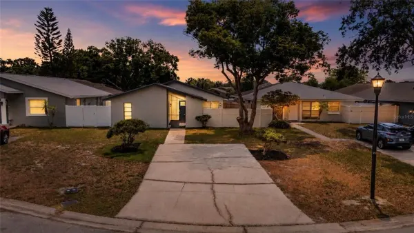 11005 Underwood Place, Tampa, FL, 33624