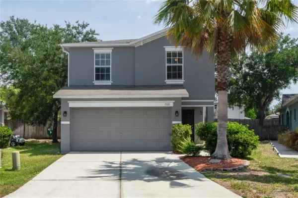 3533 Cardinal Feather Drive, Land O Lakes, FL, 34638