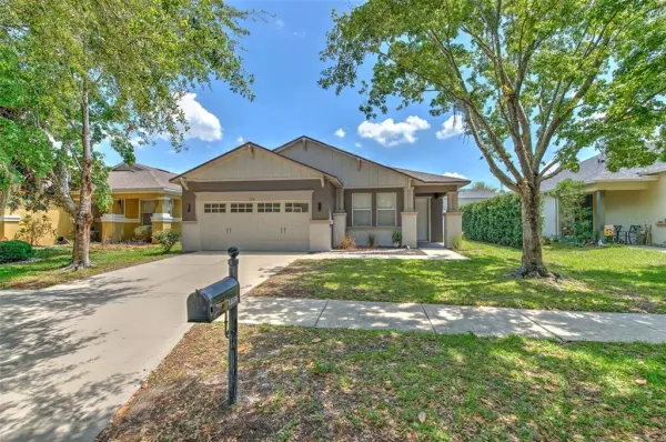 11136 Running Pine Drive, Riverview, FL, 33569