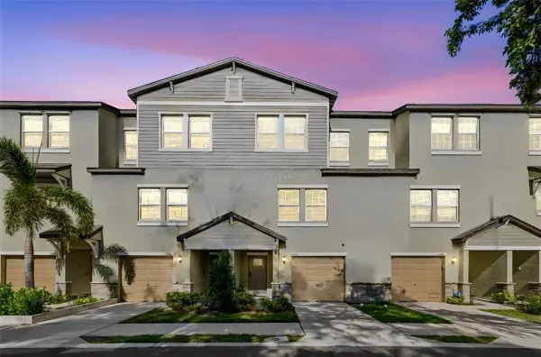 4436 Tuscan Loon Drive, Tampa, FL, 33619
