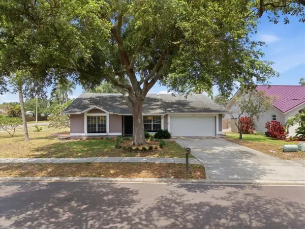 798 Countryshire Lane, Palm Harbor, FL, 34683