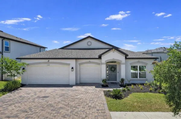 12048 ORCHID ASH STREET, RIVERVIEW, FL, 33579