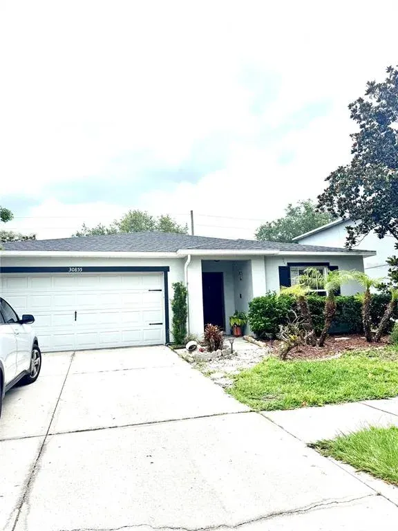 30855 Temple Stand Avenue, Wesley Chapel, FL, 33543
