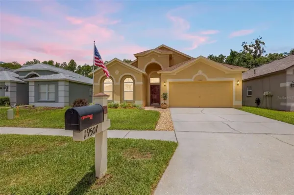 19507 Ardwick Way, Land O Lakes, FL, 34638