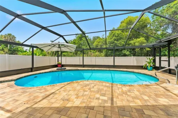 1138 Pelican Place, Safety Harbor, FL, 34695