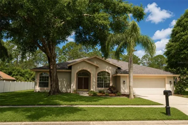 17316 Hialeah Drive, Odessa, FL, 33556