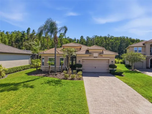 30852 Spruceberry Court, Wesley Chapel, FL, 33543