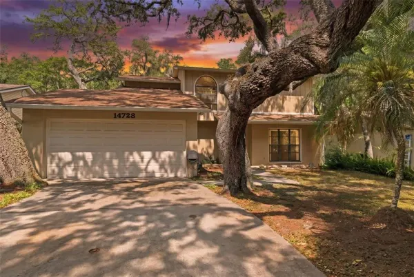 14728 Tall Tree Drive, Lutz, FL, 33559