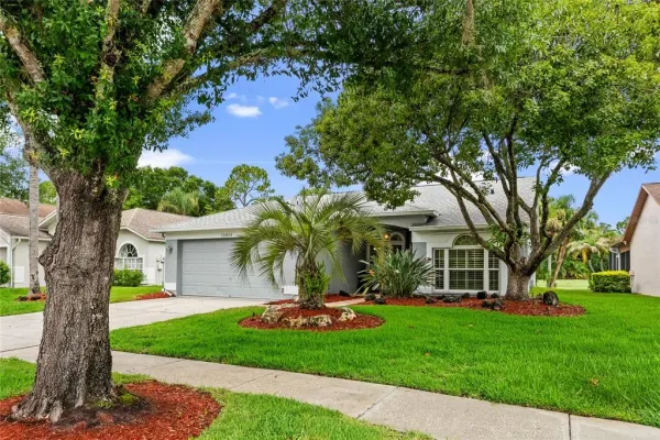 12823 Royal George Avenue, Odessa, FL, 33556