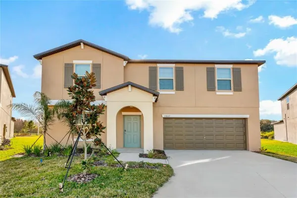 13647 Wild Ginger Street, Riverview, FL, 33579