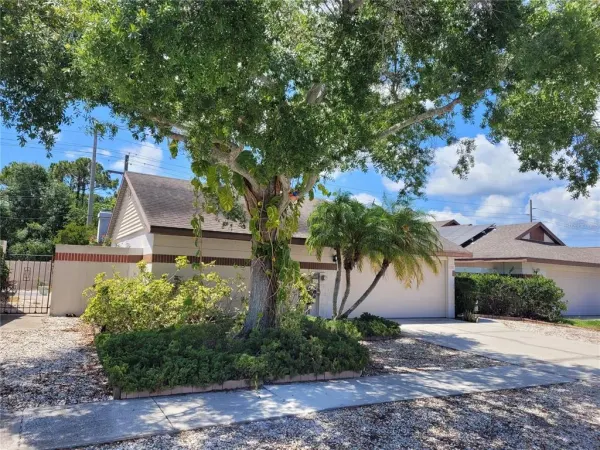 7125 Silvermill Drive, Tampa, FL, 33635