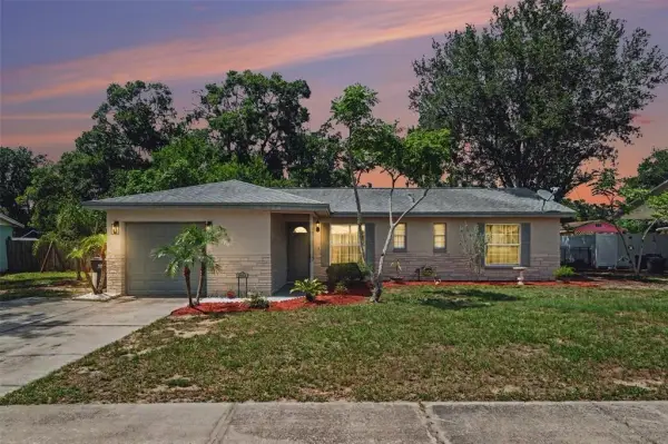 2022 Lance Court, Dover, FL, 33527