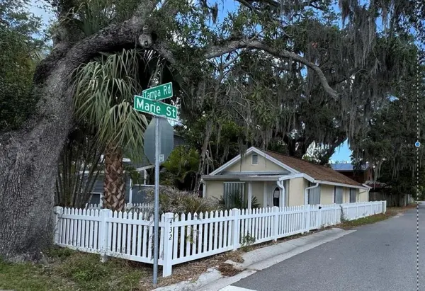 432 Tampa Road, Palm Harbor, FL, 34683