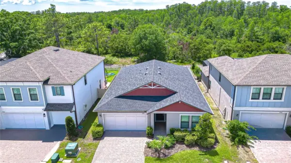 21534 Violet Periwinkle Drive, Land O Lakes, FL, 34637