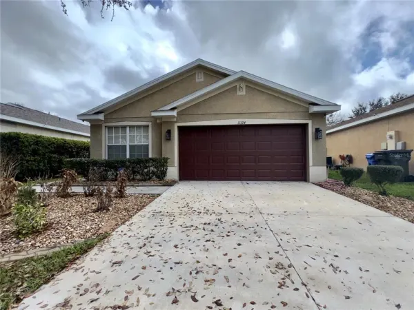 11324 Palm Island Avenue, Riverview, FL, 33569