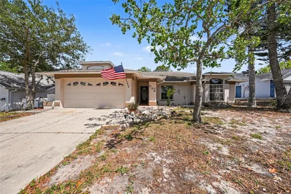 803 High Point Court, Tarpon Springs, FL, 34689