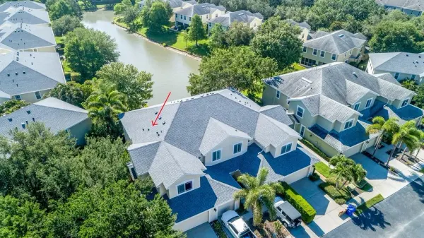 403 Harbor Ridge Drive, Palm Harbor, FL, 34683