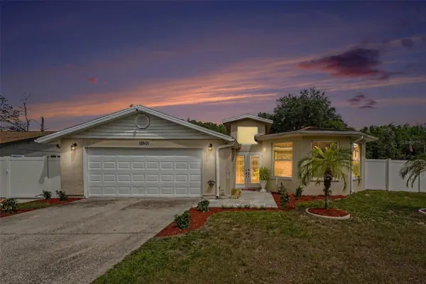 12601 Wood Ibis Way, Tampa, FL, 33624