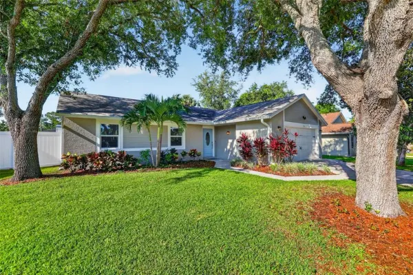 1356 Noell Boulevard, Palm Harbor, FL, 34683