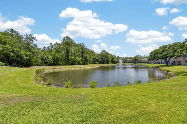 18947 Duquesne Drive, Tampa, FL, 33647