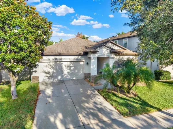 11513 Blue Crane Street, Riverview, FL, 33569