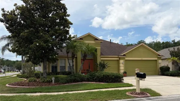 19640 Bergenfeld Drive, Land O Lakes, FL, 34638