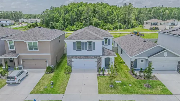 7061 Broad River Avenue, Land O Lakes, FL, 34638