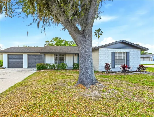 18320 Dolly Brook Lane, Lutz, FL, 33549