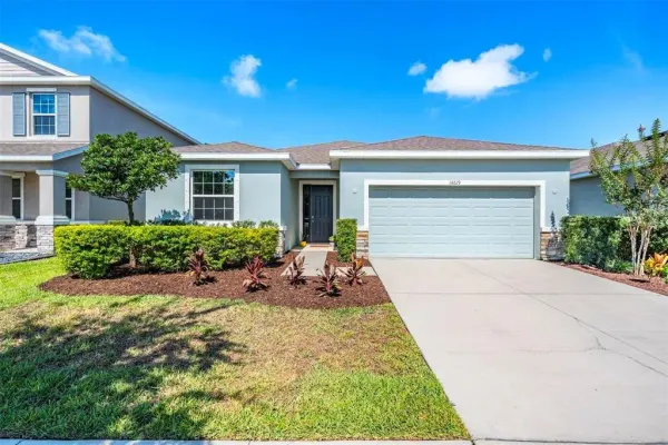 16619 Goose Ribbon Place, Wimauma, FL, 33598