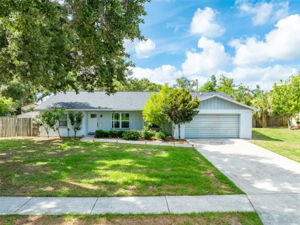 10817 Providence Oaks Drive, Riverview, FL, 33578