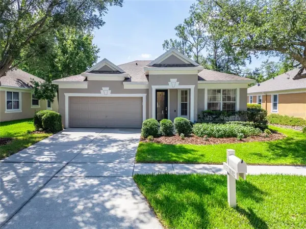 18103 Hamden Park Way, Tampa, FL, 33647