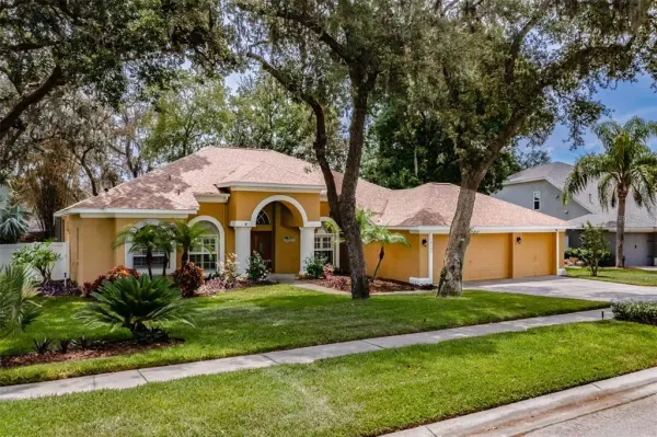 10131 Paddock Oaks Drive, Riverview, FL, 33569