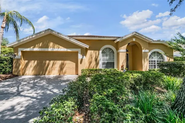 9459 Hunters Pond Drive, Tampa, FL, 33647