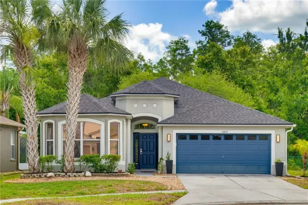 10842 Wild Cotton Court, Land O Lakes, FL, 34638
