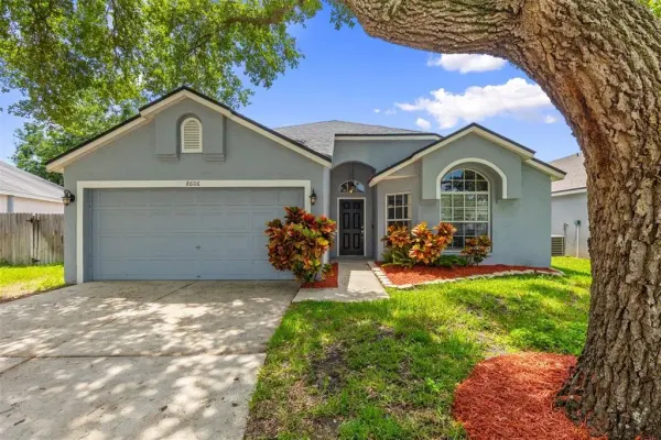 8606 Fawn Creek Drive, Tampa, FL, 33626