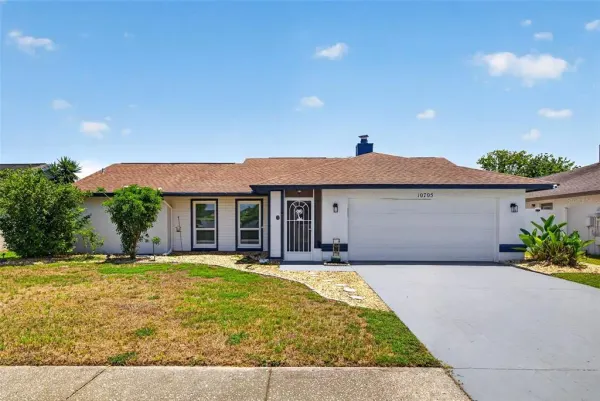 10705 Out Island Drive, Tampa, FL, 33615