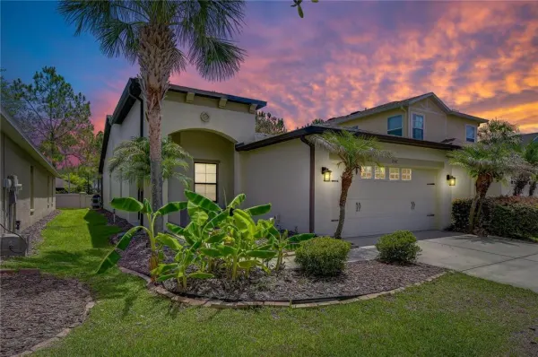 7847 Tuscany Woods Drive, Tampa, FL, 33647