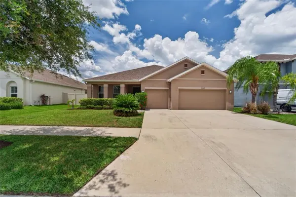 11621 Tetrafin Drive, Riverview, FL, 33579