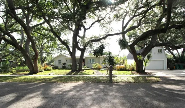 2436 Navarez Avenue, Safety Harbor, FL, 34695