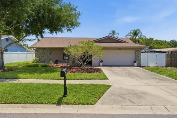 4218 Hollowtrail Drive, Tampa, FL, 33624
