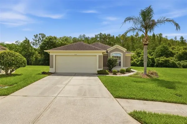5600 Sir Barton Court, Wesley Chapel, FL, 33544